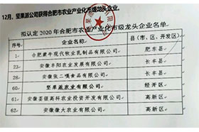 2020年合肥市農(nóng)業(yè)產(chǎn)業(yè)化市級(jí)龍頭企業(yè)